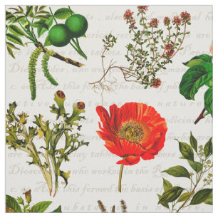 Medicinska Örter Blommor Herbarium Tyg