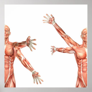 Medicinskt figur som visar skuldränering poster