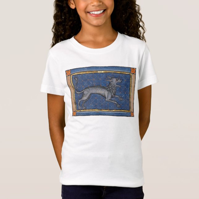 Medieval Bestiary Hyena c. 1270 T Shirt (Framsida)