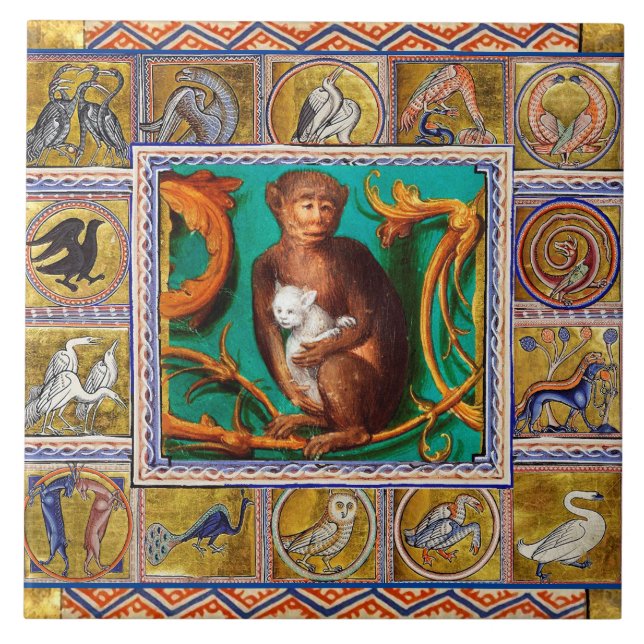 MEDIEVAL BESTIARY, MONKEY AND WHITE CAT,ANIMALER KAKELPLATTA (Framsidan)