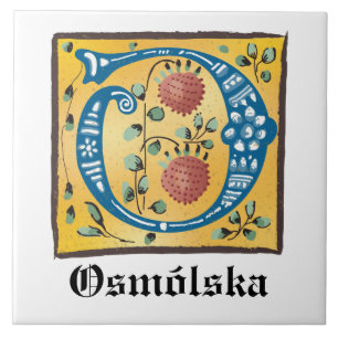 Medieval Blommigt Upplyst Brev O Monogram Kakelplatta
