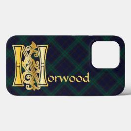 Medieval botaniskt dekorativt kapital N