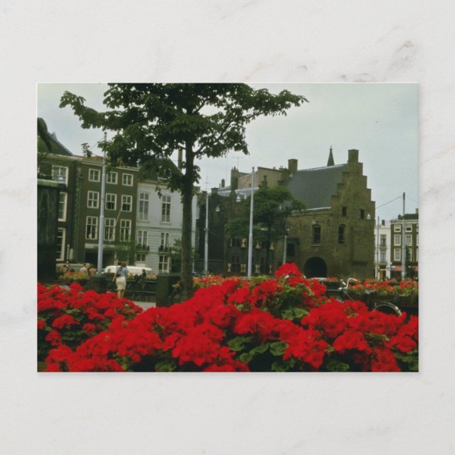 Medieval-fängelset i Haag-blommor Vykort (Framsida)