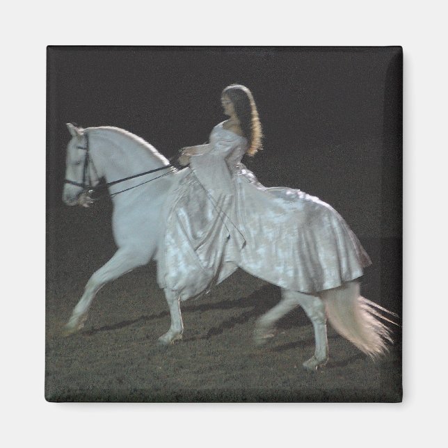 Medieval Fantasy - magnet (Framsidan)