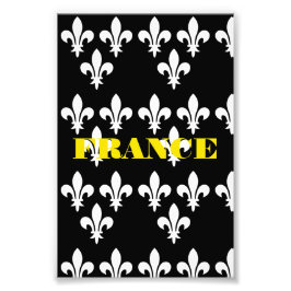 Medieval France Heraldic Print Monochromatic Art Fototryck