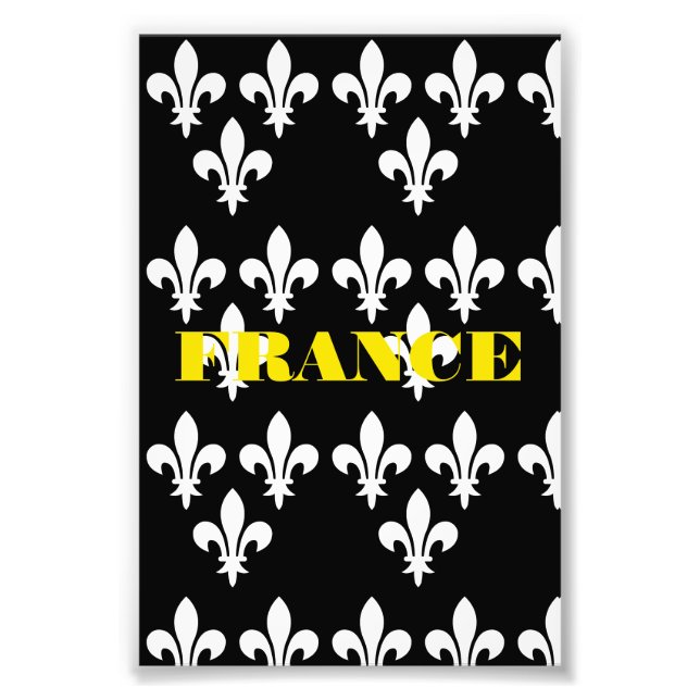 Medieval France Heraldic Print Monochromatic Art Fototryck (Framsidan)