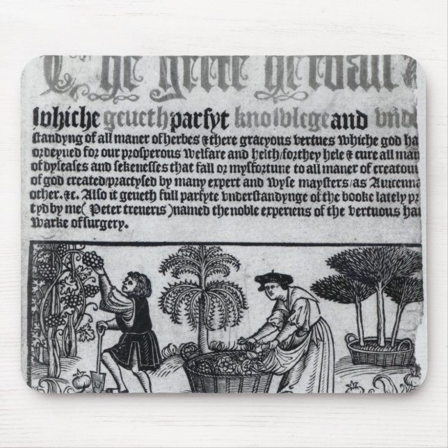 Medieval Herb Garden Musmatta (Framsidan)