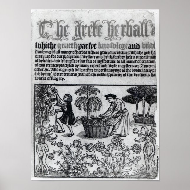 Medieval Herb Garden Poster (Framsidan)