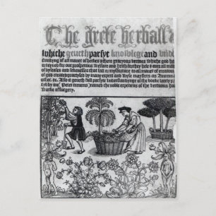 Medieval Herb Garden Vykort
