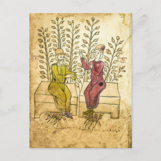 Medieval Herbalist Manuscript - riktigt fotovykort Vykort