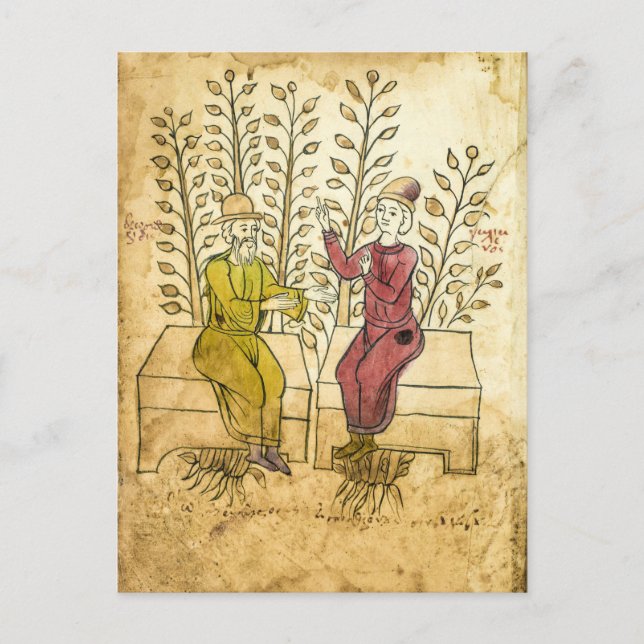 Medieval Herbalist Manuscript - riktigt fotovykort Vykort (Framsida)