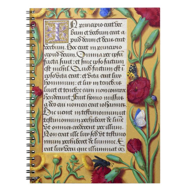 Medieval Illuminated Manuscript Gospel St John Anteckningsbok (Framsidan)