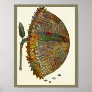 Medieval italiensk solros poster