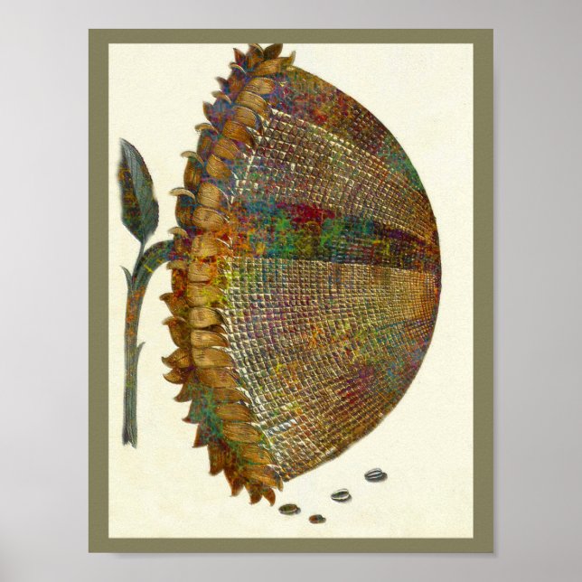 Medieval italiensk solros poster (Framsidan)