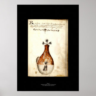 Medieval Italy Alchemy Poster Plate 11