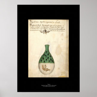 Medieval Italy Alchemy Poster Plate 4
