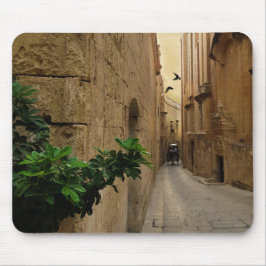 Medieval Narrow Street Tall Byggnad och Coach Musmatta