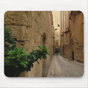Medieval Narrow Street Tall Byggnad och Coach Musmatta