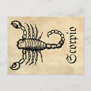 Medieval Renaissance Zodiac Symbol Scorpio Vykort