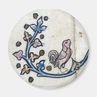 Medieval tupp-hund magnet