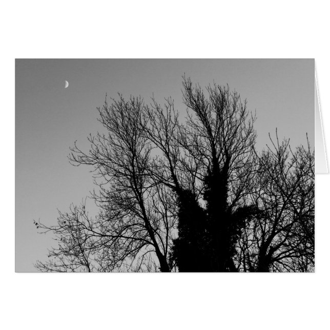 Medieval Vinter eftermiddag Hälsningskort (Framsidan Horizontal)