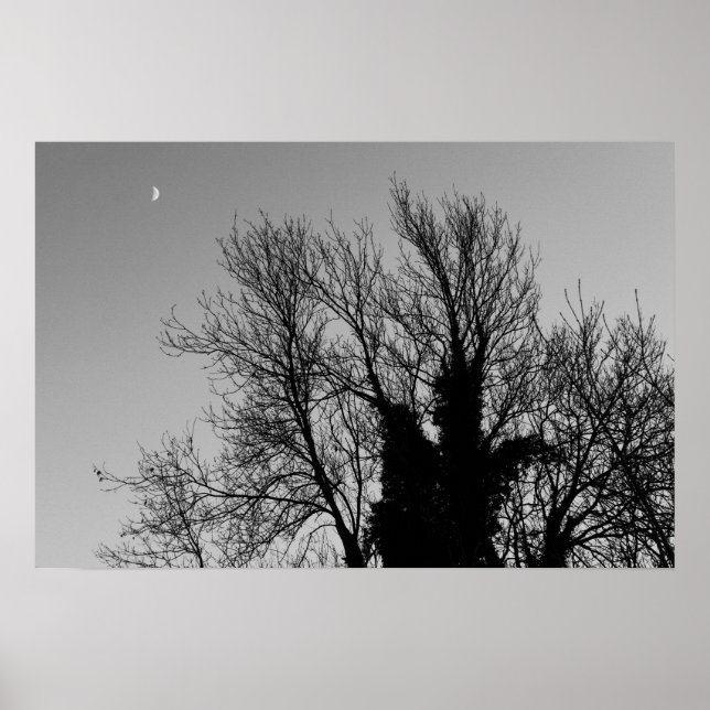 Medieval Vinter eftermiddag Poster (Framsidan)