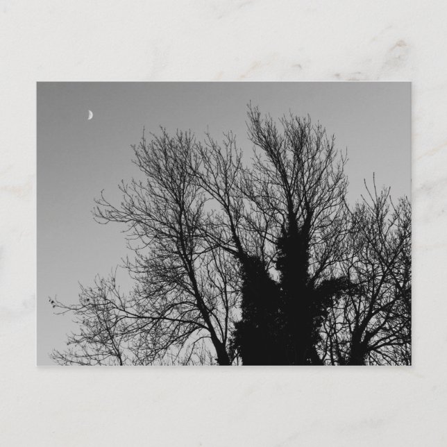 Medieval Vinter eftermiddag Vykort (Framsida)