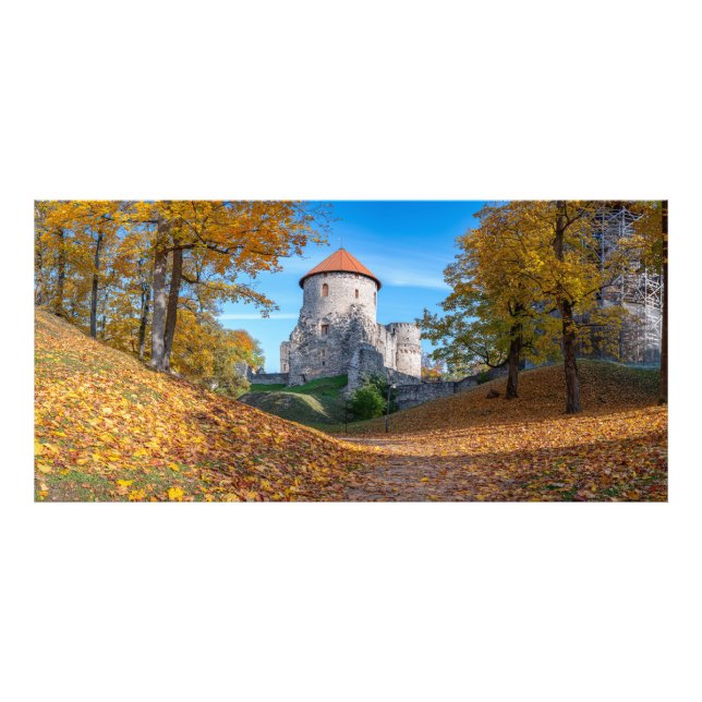 Medievalslott omgivet av skog fototryck (Framsidan)