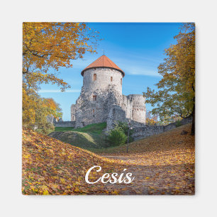Medievalslott omgivet av skog magnet