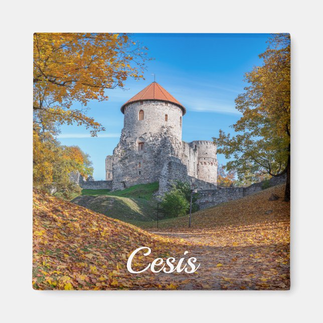 Medievalslott omgivet av skog magnet (Framsidan)