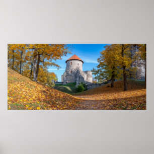 Medievalslott omgivet av skog poster