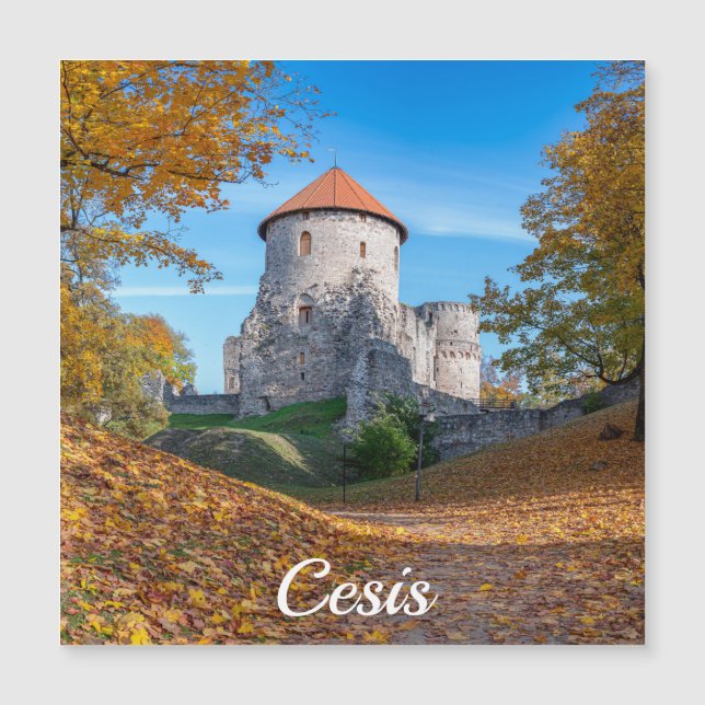 Medievalslott omgivet av skogsmagnet (Framsida)