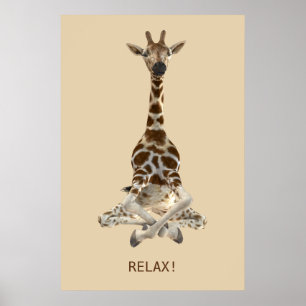 Meditating Giraffe Poster