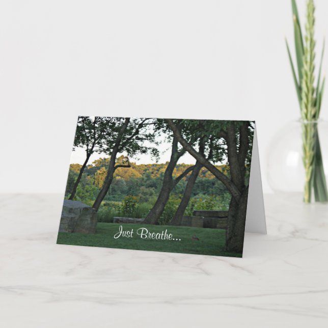 Meditation i ängen kort (Framsida)