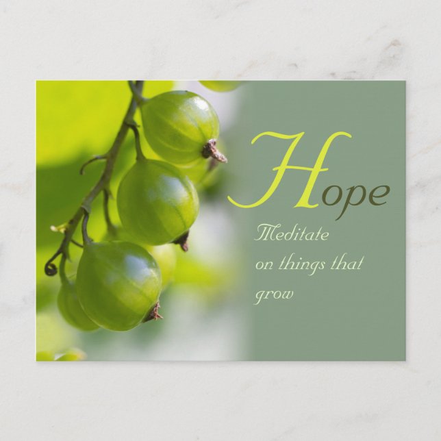 Meditation om sak som växer C0330 Vykort (Framsida)