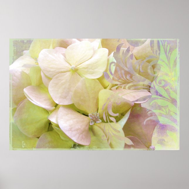 Meditation, opalescent Hydrangea Poster (Framsidan)