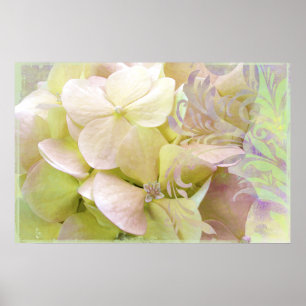 Meditation Opalescent vanlig hortensia Poster