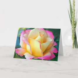 Meditation på Ro Kort