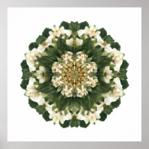 Meditativ Helig Geometri: Fraktal Flora