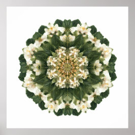 Meditativ Helig Geometri: Fraktal Flora Poster