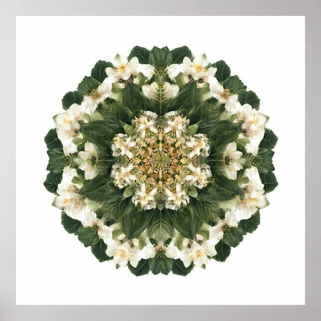 Meditativ Helig Geometri: Fraktal Flora Poster (Framsidan)