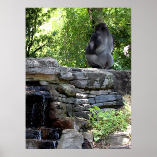 Meditera den tillbaka gorillan för silver poster