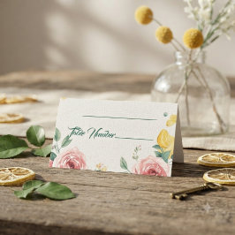 Mediterranean Blush Ros & Citron Bröllops Bordskor Placeringskort