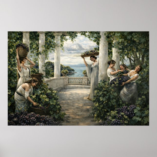 Mediterranean Vineyard Grape Harvest Poster (Framsidan)