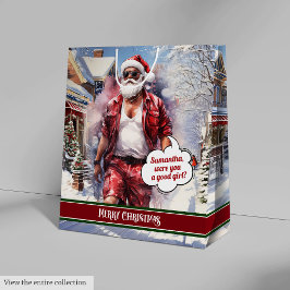Medium Gift Bag Cool Santa Christmas Organizer