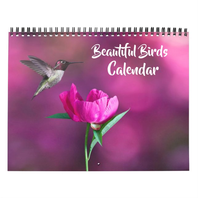 Medium Size Beautiful Birds Calendar Kalender (Omslag)