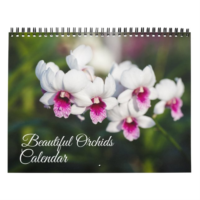 Medium Size Orchids Calendar Kalender (Omslag)