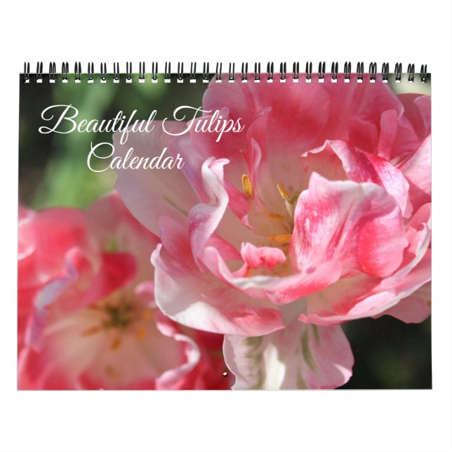 Medium Size Tulips Calendar Kalender (Omslag)