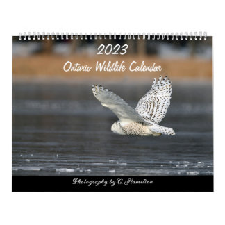 MediumCalendar med två sidor, vit Kalender