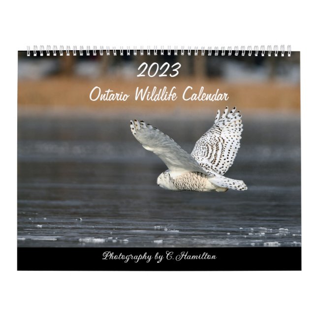 MediumCalendar med två sidor, vit Kalender (Omslag)